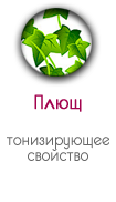 Плющ в носочках SoSu
